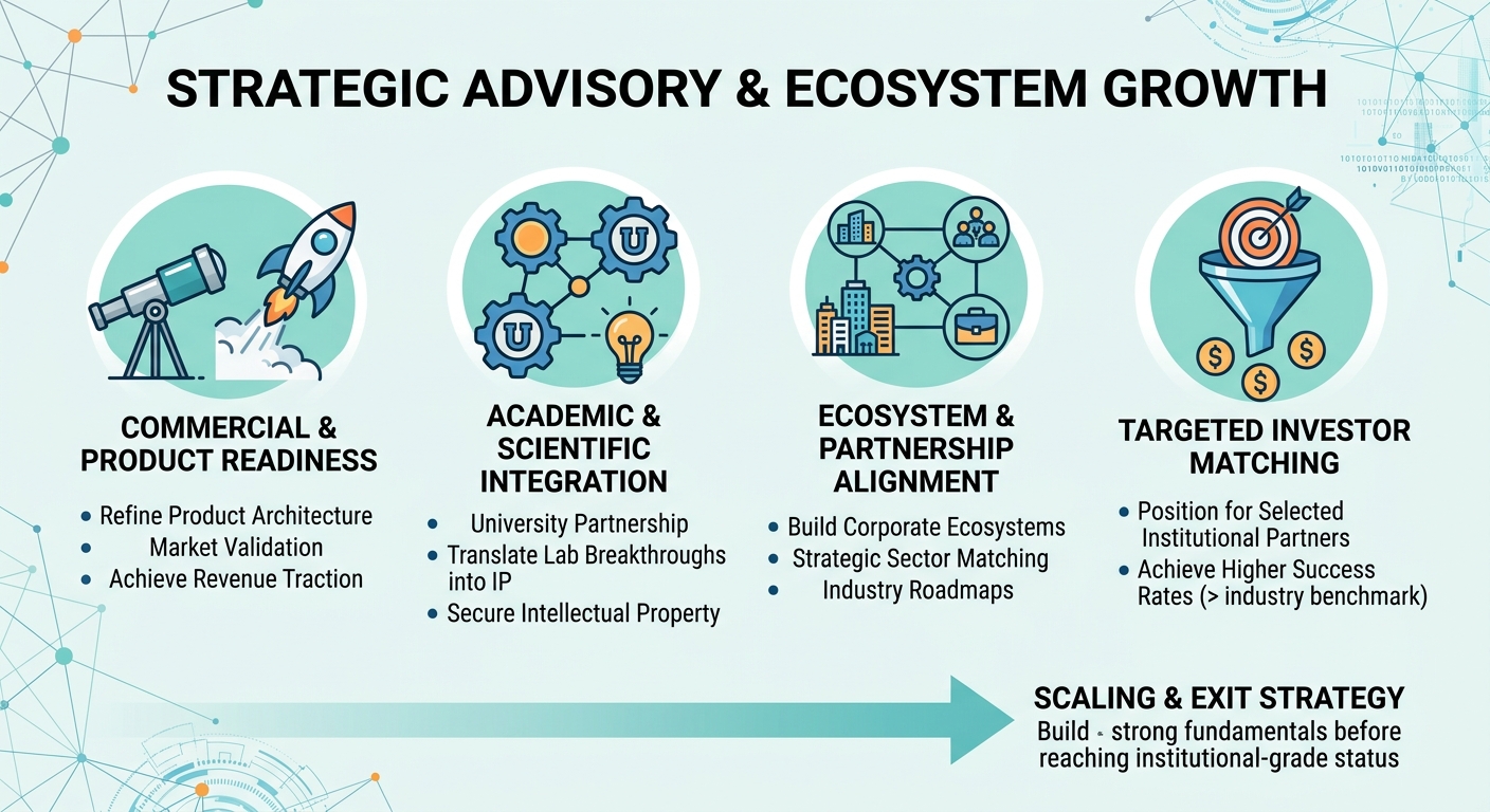 Strategic Advisory Beyond Traditional Venture Capital for Scale-Ups and Research Spin-Outs Morocco